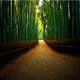 Image for article titled Tourists Are Ruining Kyoto's Scenic Beauty